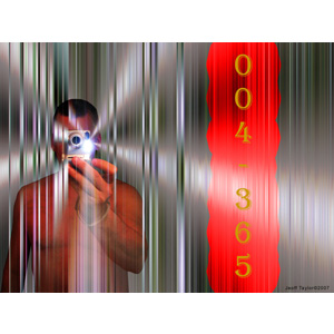 004-365 | The Silver Forest (TSF) (2007)