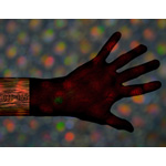 031-365 | Magick @ hand (2007)