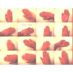 051-365 | Self Help Hands (SHH) (2007)