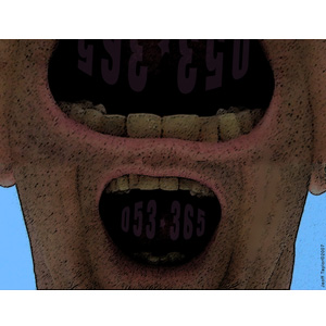 053-365 | Shouter (2007)