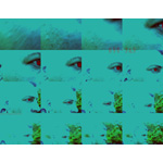 058-365 | Sneak Out Portrait No.58 (SOP No.58) (2007)