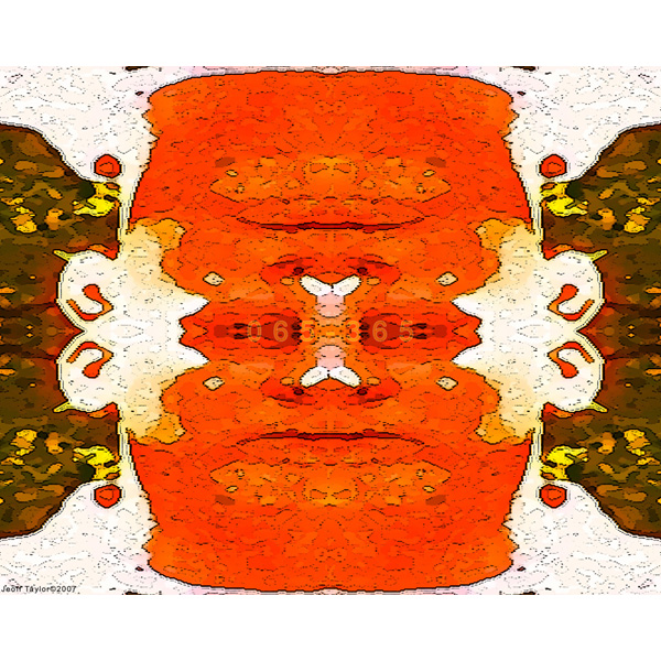 065-365 | Rorschach To Go (RTG) (2007)
