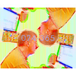 074-365 | Liars Data Right (LDR) (2007)