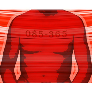 085-365 | Meditation/Flavor/Breath ( MFB) (2007)