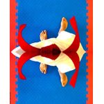 101-365 | Foot Techniques 101 (2007)