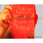 200-365 | An Anonymous Vice/roy (AAV)(2007)