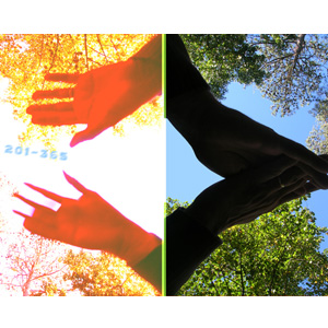 201-365 | Past & Path (P&P) (2007)