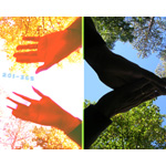 201-365 | Past & Path (P&P)  (2007)