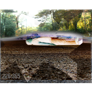 226-365 | Unordered Listing (2007)