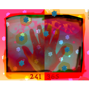 241-365 | Your Middle Void (YMF) (2007)