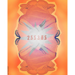 255-365 | Braced (2007)
