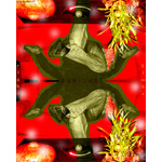 269-365 | Eight Limbs Out (ELO) (2007)