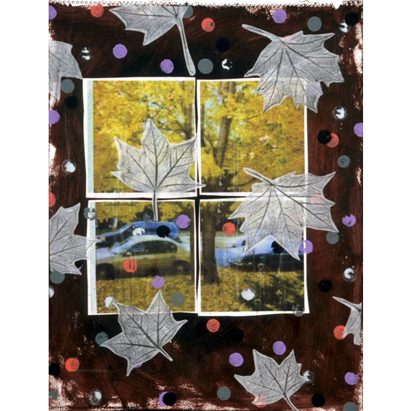 Fall Washtenaw (2000)