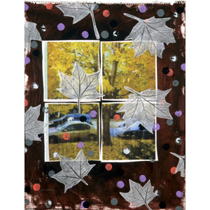 Fall Washtenaw (2000)